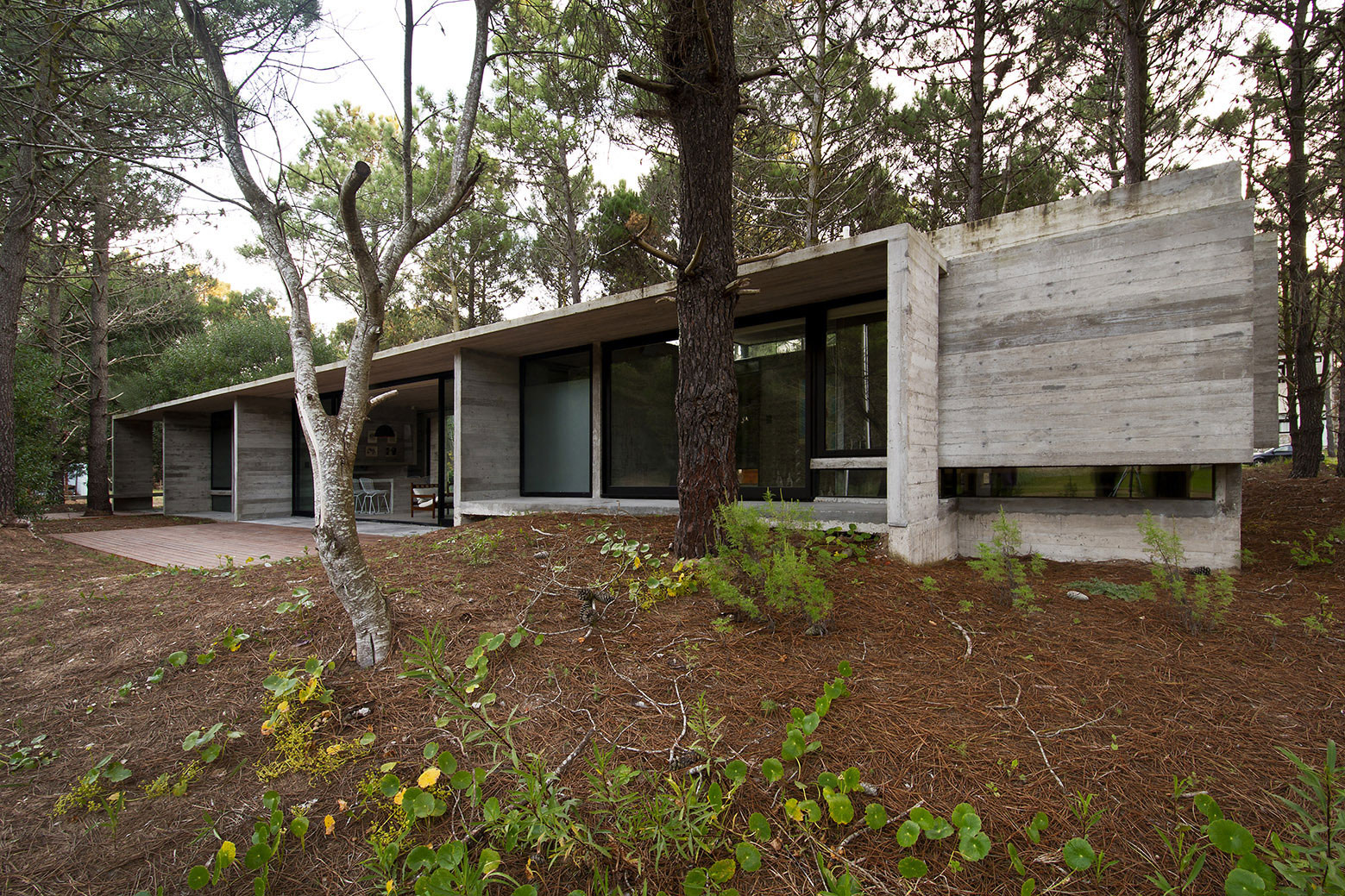 Celý architektonický koncept sa snaží o tom, aby dom čo najlepšie zapadol do lesného prostredia. Úzky tvar má zásluhy na tom, že pri stavbe došlo k minimálnemu výrubu okolitých stromov.