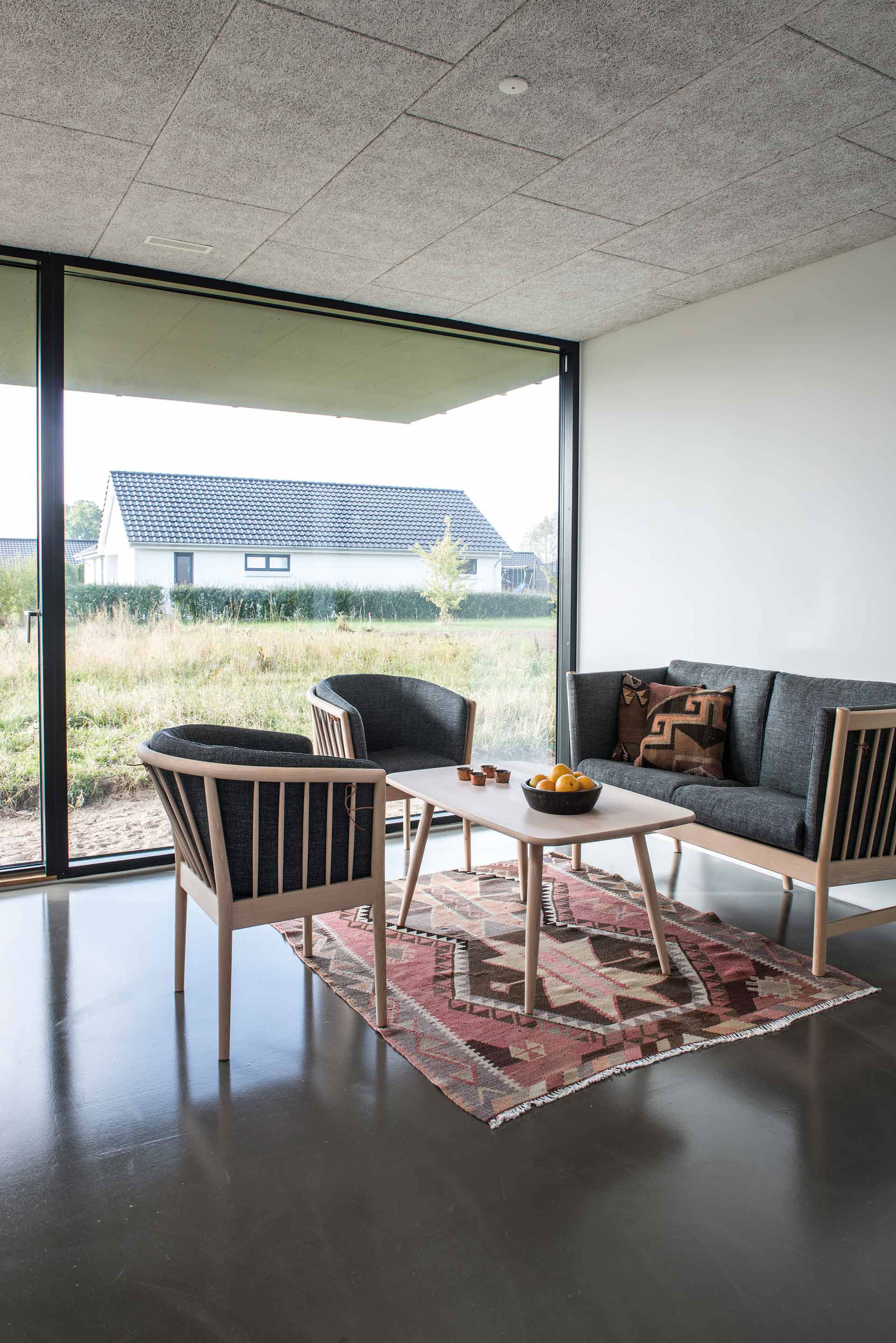 Projekt MiniCO2 Houses pozostáva zo 6 rodinných domov postavených v Dánskom meste Nyborg. 5 z týchto domov je zameraných na určité metódy zníženia emisií CO2 (recyklované materiály, bezúdržbové systémy, inteligentná regulácia vykurovania, ohrevu vody a podobne) a šiesty má skombinovať tieto metódy dohromady.