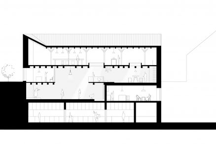 Longitudinal section