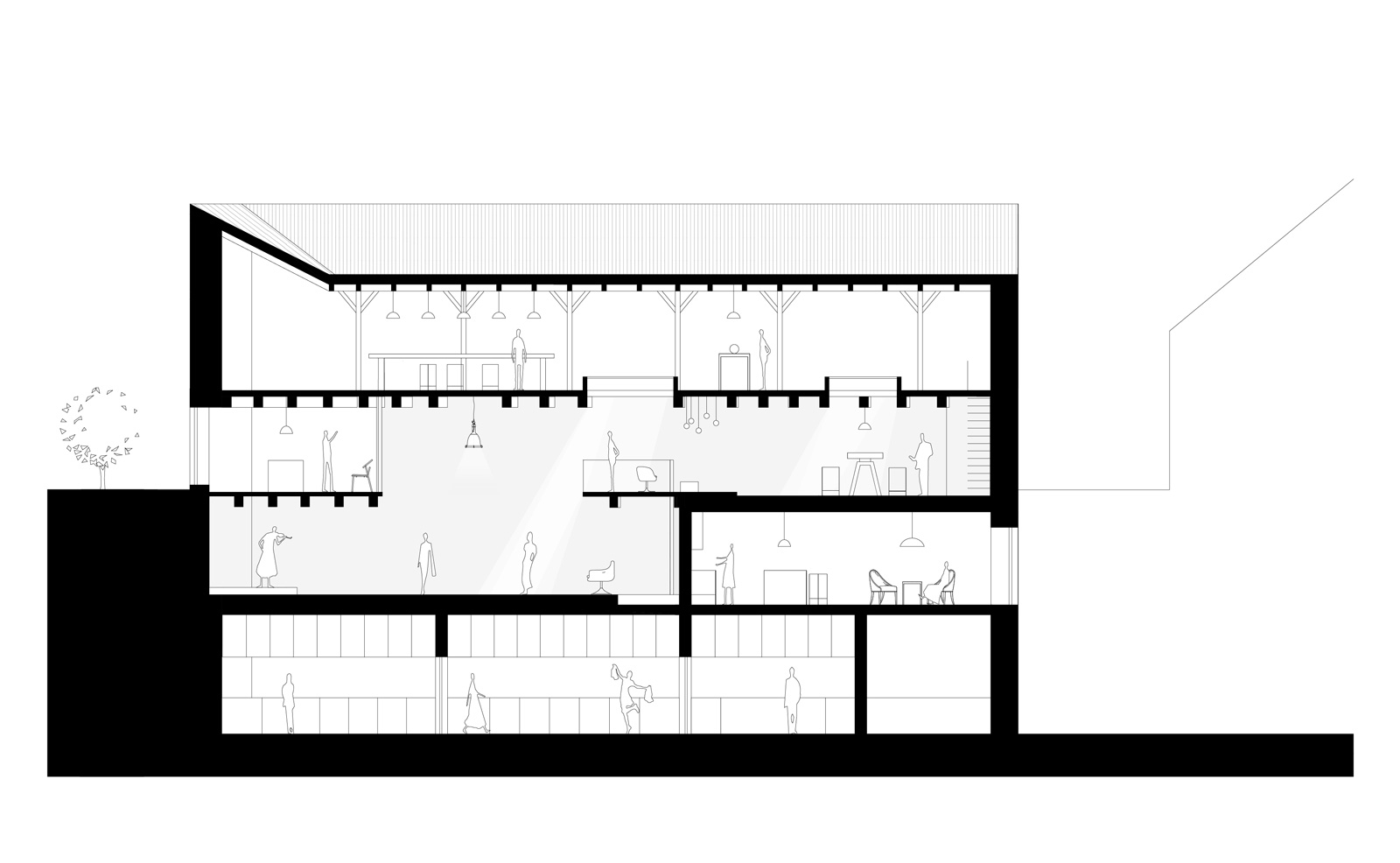 Longitudinal section