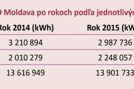 Tab. 1 Bilancia vstupov do TEHO Moldava po rokoch podľa jednotlivých energetických nosičov