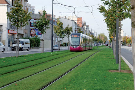 Ukážka vegetačného povrchu električkových tratí s trávnatým povrchom