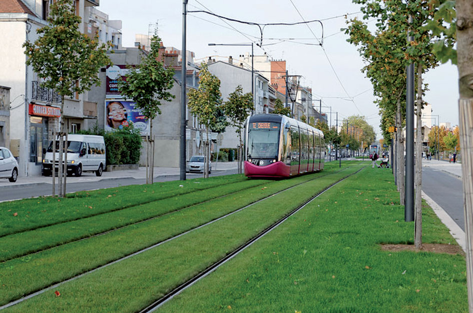 Ukážka vegetačného povrchu električkových tratí s trávnatým povrchom