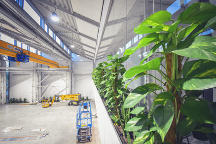 Unikátní zelená budova mění koncept stavění industriálních hal 1