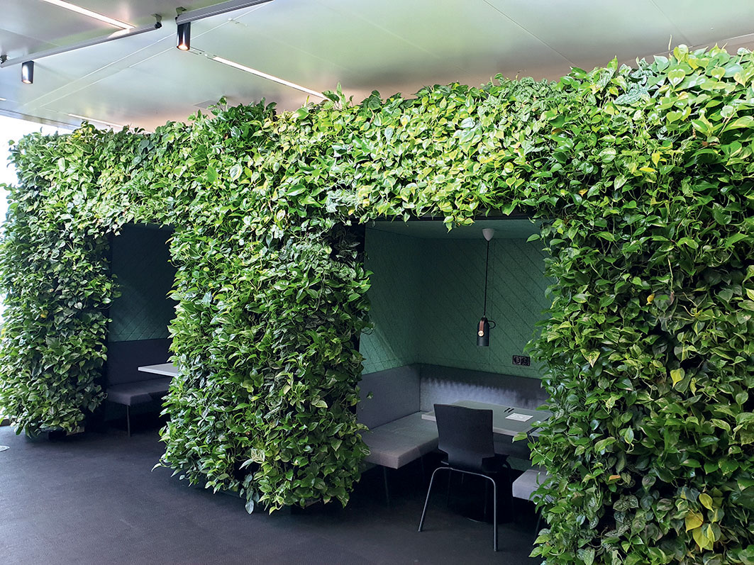 Príklad využitia rastlín v budovách biofilický dizajn pracovného priestoru v zelenej budove Olympic Edge v Amsterdame