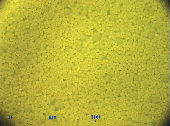 Obr. 1 Mikroskopický obraz emulzie