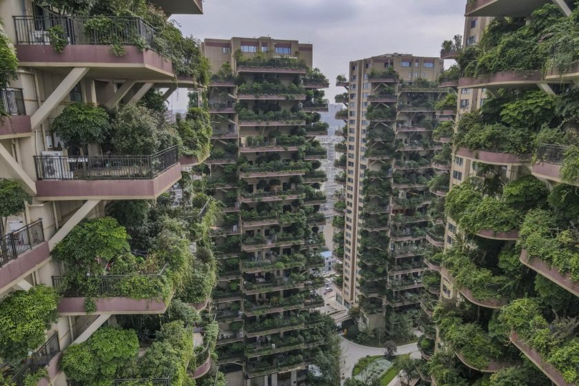 Qiyi City Forest Garden: čínske zelené mesto duchov