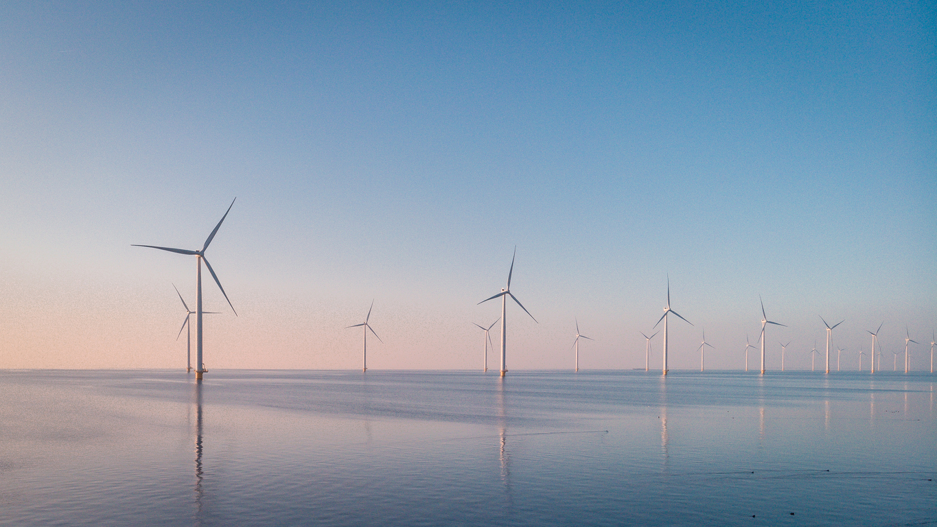 Hlavným materiálom na výrobu listov veterních turbín je tropické drevo balzy. Windpark Westermeerdijk, Holandsko.  