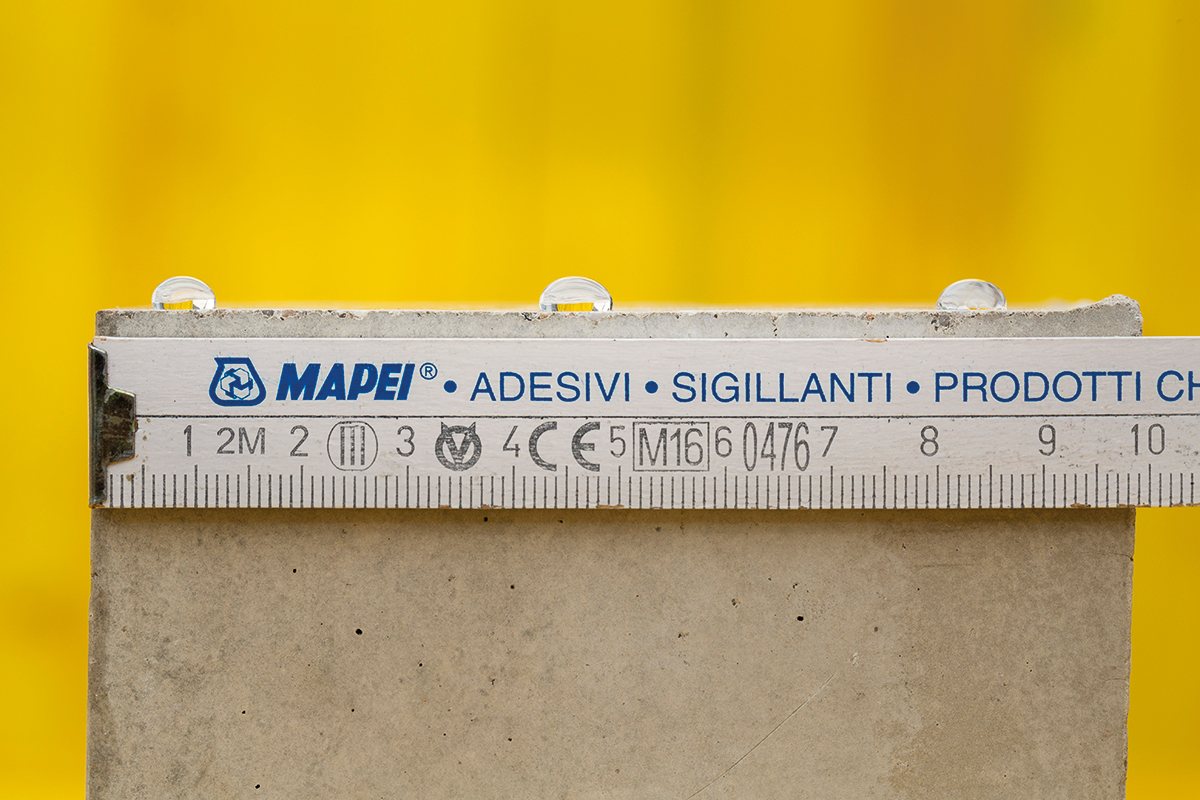 DSV 190220 0826 Macro HiRes