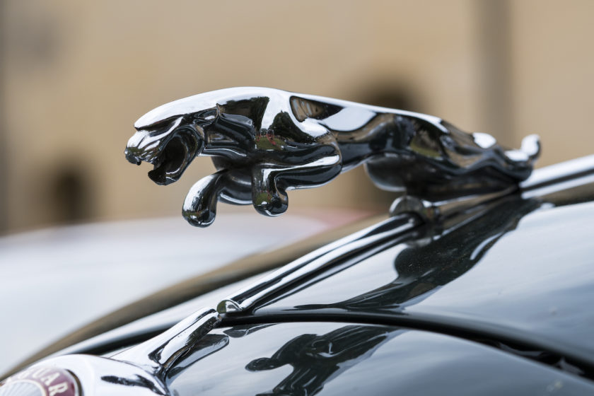 jaguar