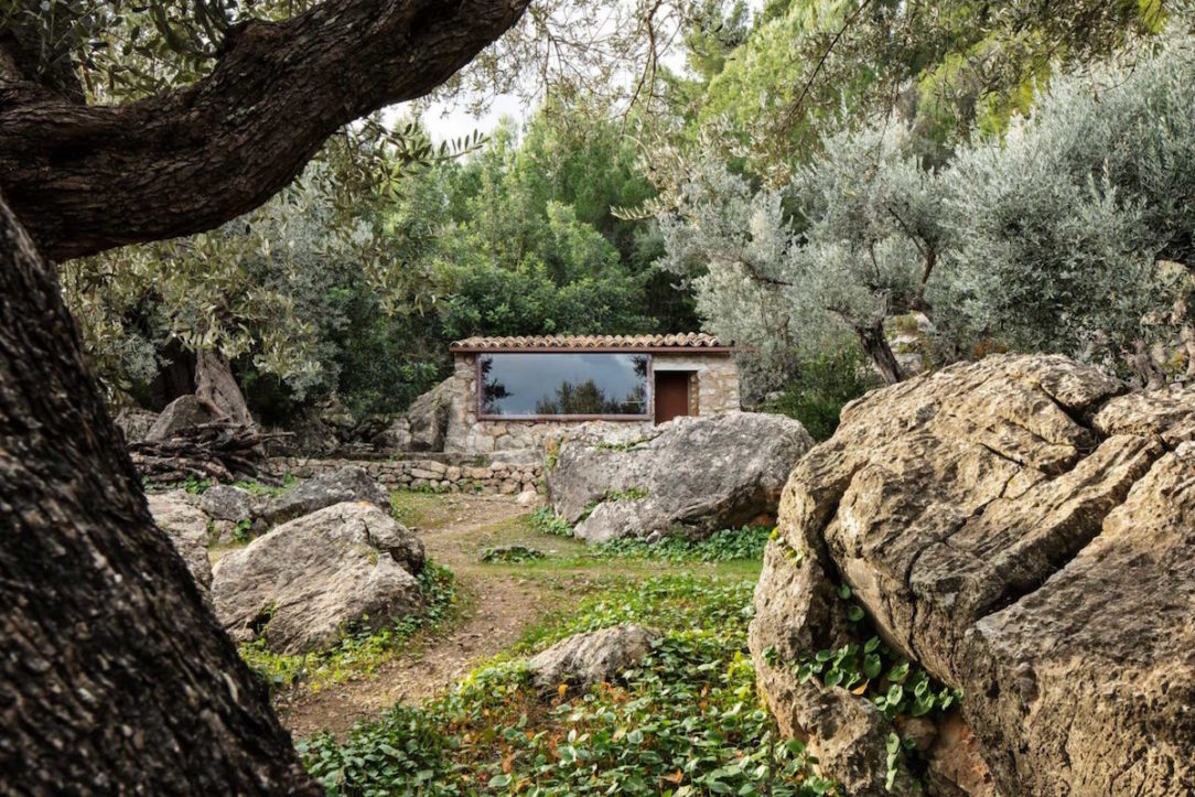 Olivový dom.
