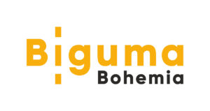BIGUMA logo RGB zakladne