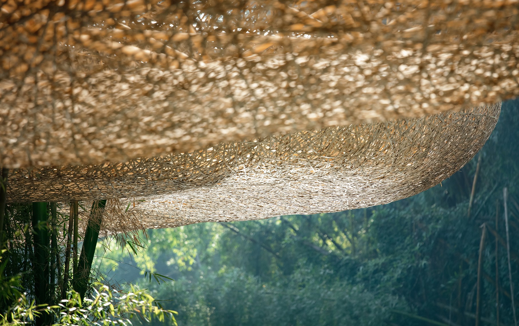 Bamboo, Bamboo, Canopy and Pavilions