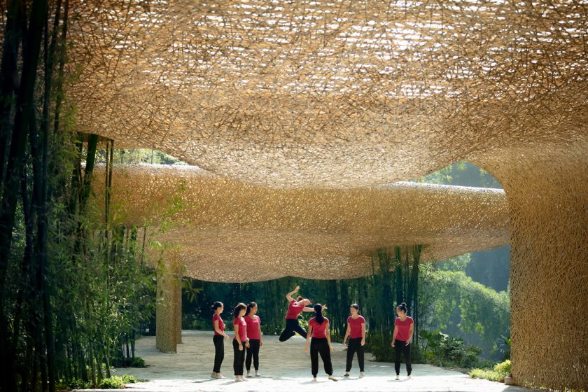 Bamboo, Bamboo, Canopy and Pavilion