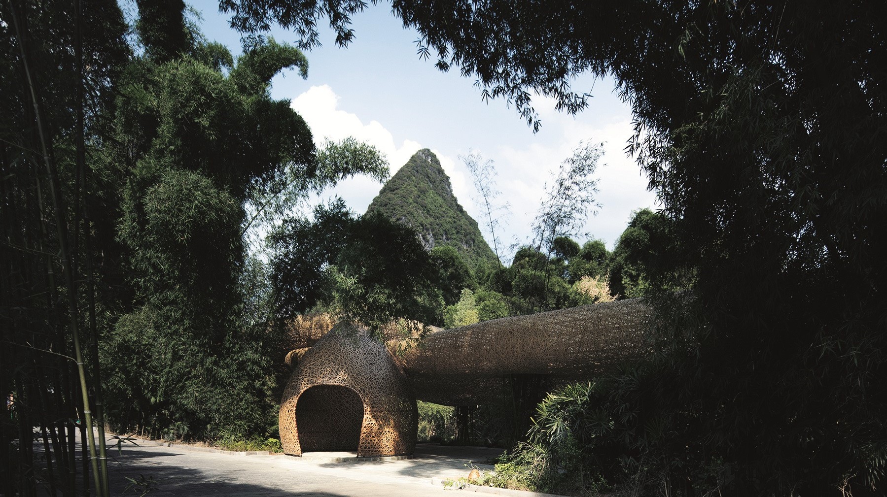 Bamboo, Bamboo, Canopy and Pavilions