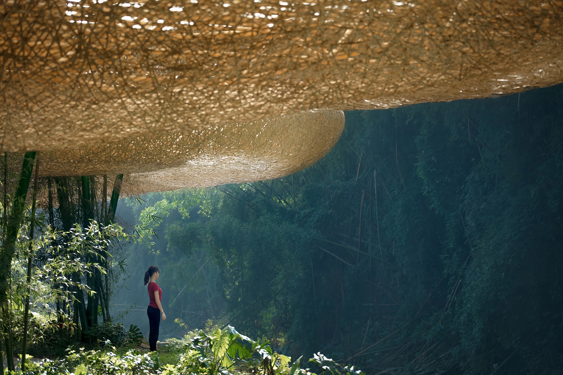 Bamboo, Bamboo, Canopy and Pavilions