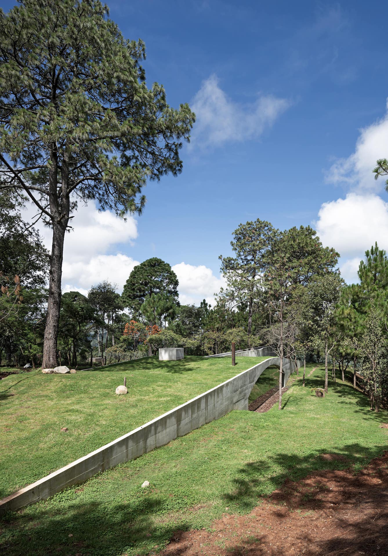 The Hill in Front of the Glen House
