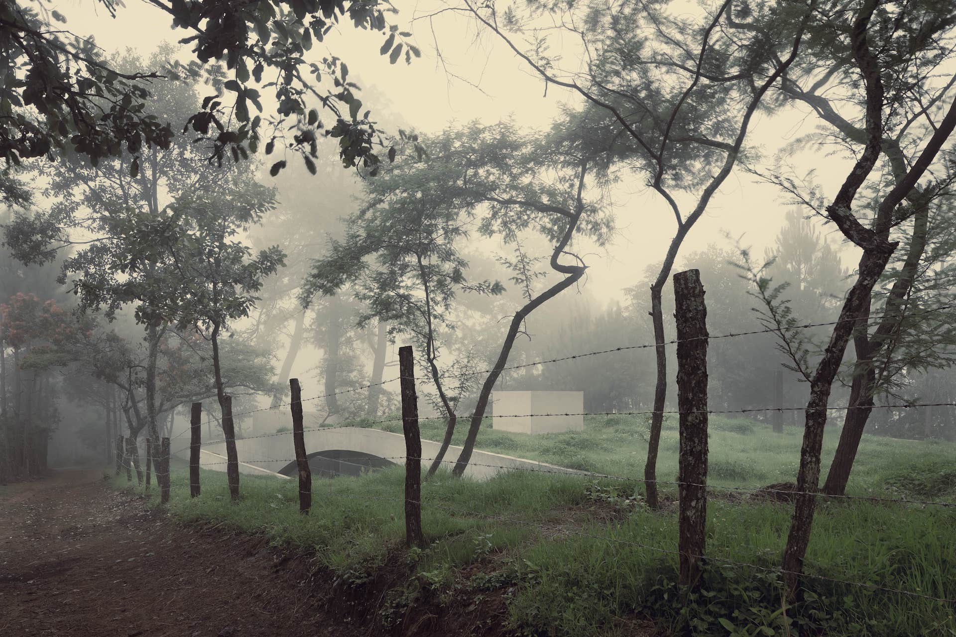 The Hill in Front of the Glen House
