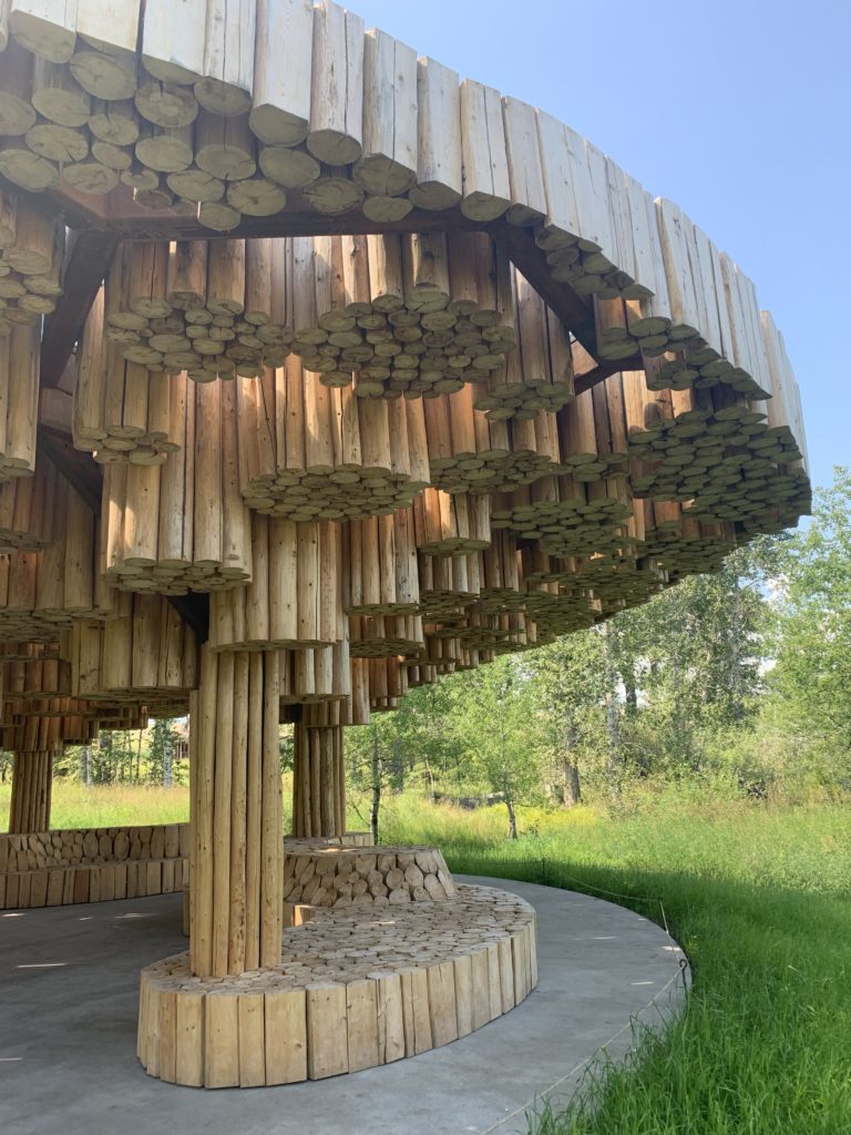 Photo Aug 10 12 17 14 PM e1565582315427 768x1024 1