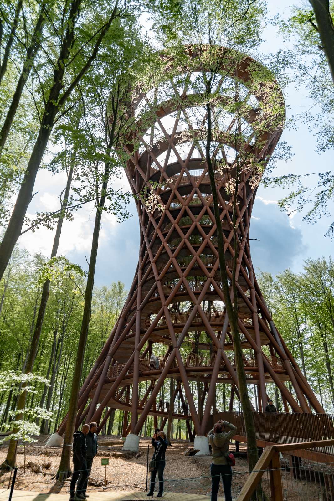 Forest Tower