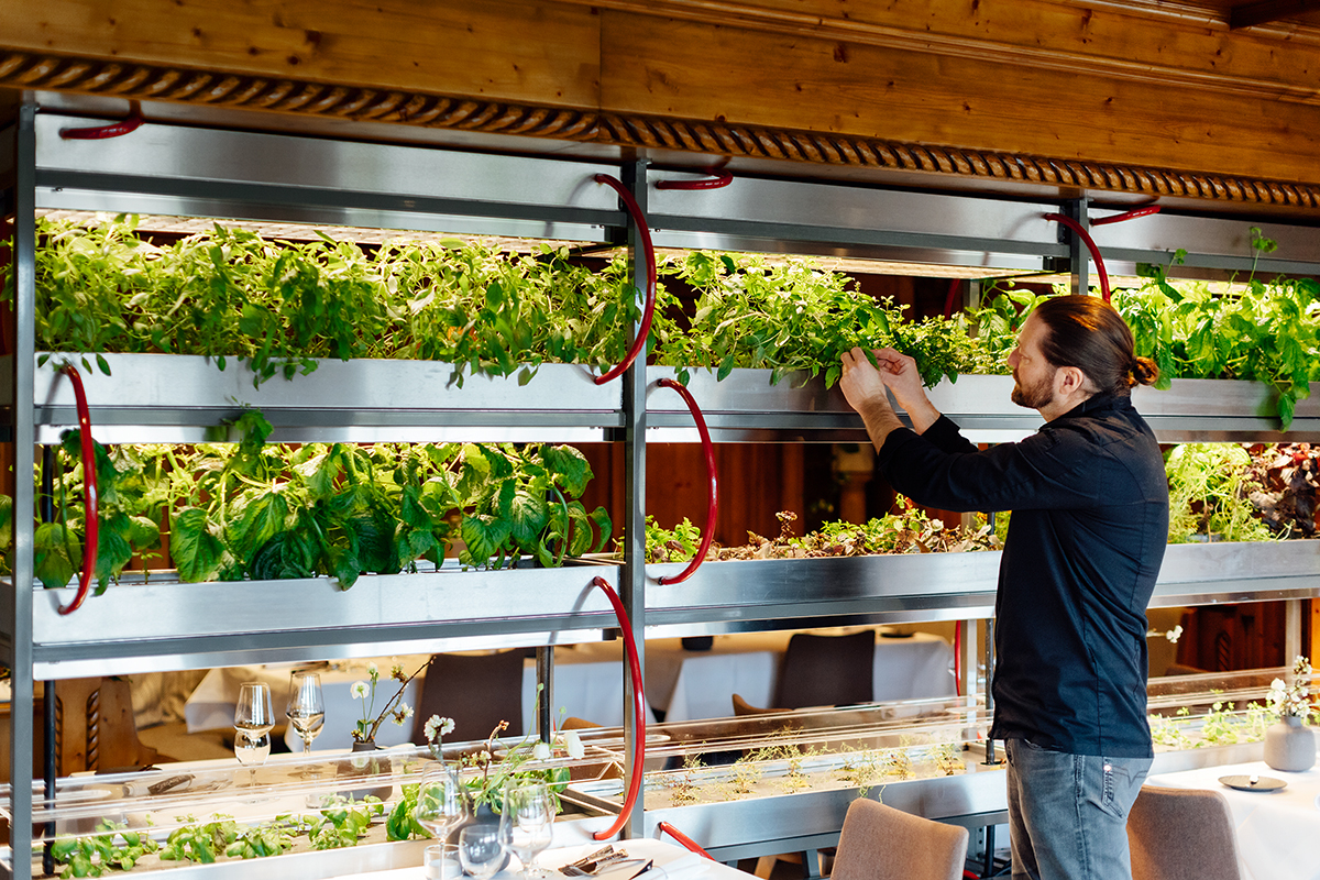 V hoteli a reštaurácii Seegarten spája Olaf Baumeister svoje najväčšie vášne: experimentovanie s prírodnými surovinami v kuchyni a výrazné a zároveň udržateľné vybavenie, ako je napríklad od Kaldewei. 
