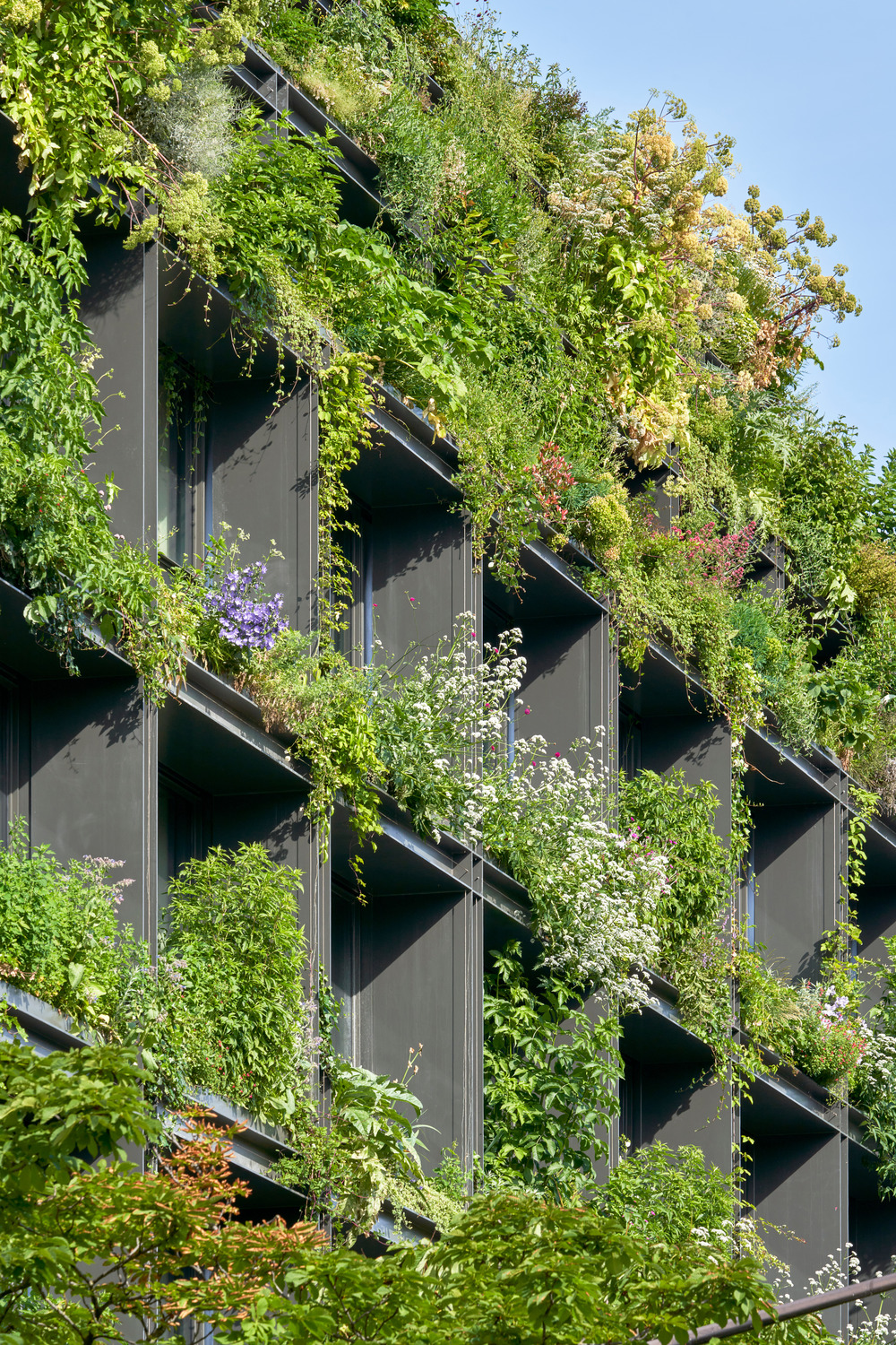 Zelená fasáda multifunkčnej budovy v Paríži