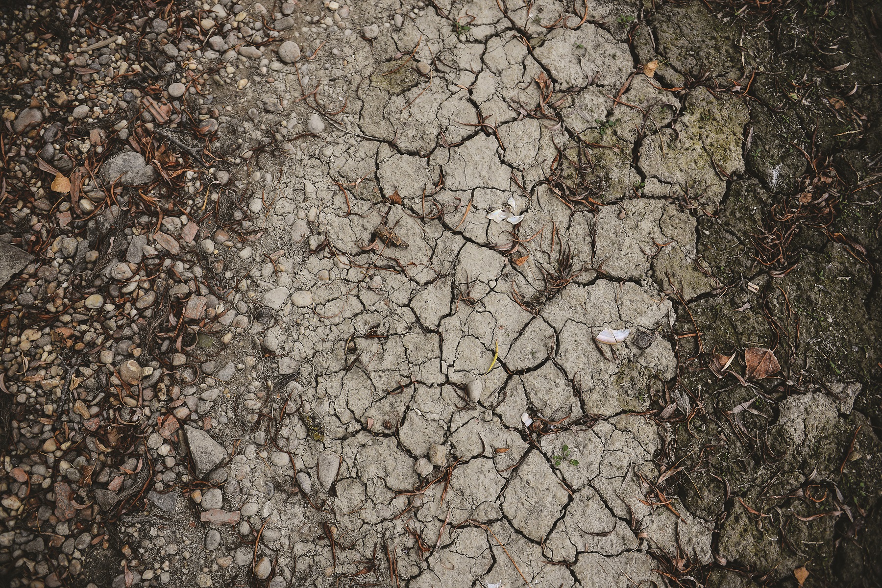 Hungary Drought 15315 b55ad1706218439f92cc02863503b9ae