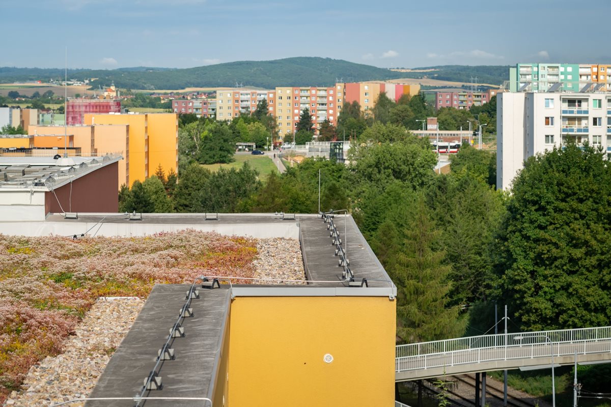 Obyvatelia panelového domu v Brne sa pri rekonštrukcii rozhodli pre zelenú strechu.