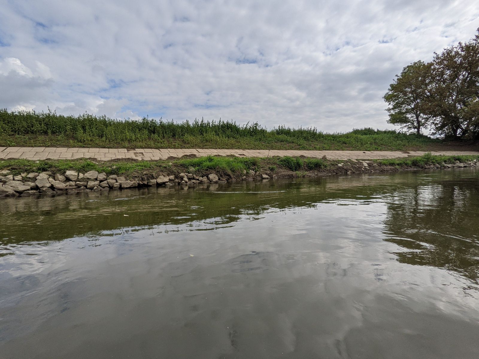 Rieka Morava, upravený (opevnený) a zrevitalizovaný breh rieky, ktorý vytvára substráty a útočisko pre pôvodnú vodnú faunu a flóru a podporuje samočistiace procesy v rieke.