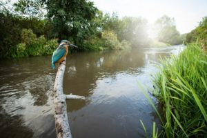 Prelomová novela mení prístup k fungovaniu riek: Menej umelých zásahov, menej povodní
