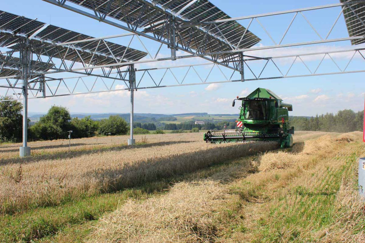 Agrovoltické systémy nie sú prekážkou ani pre ťažké stroje. 