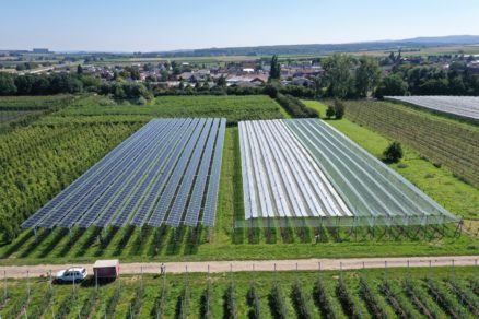 agrovoltika priklady horizontalny system
