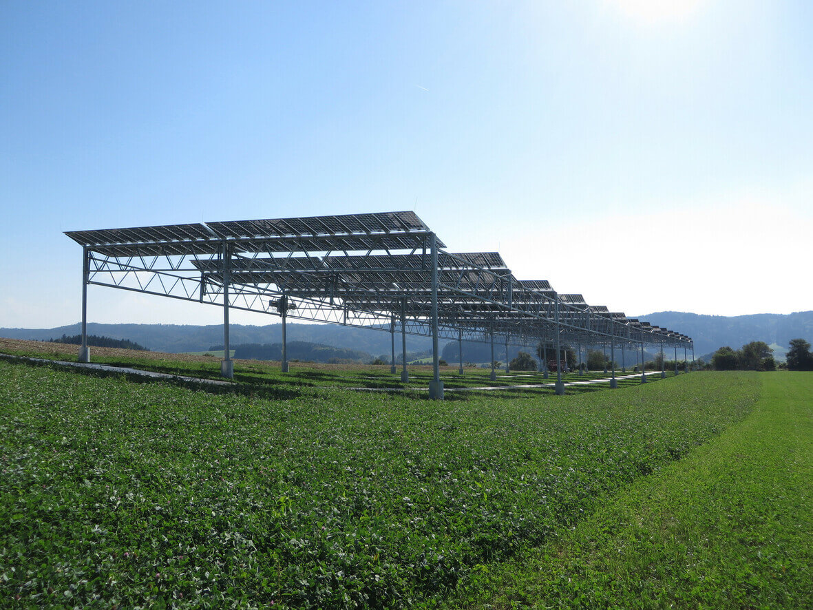 Agrovoltický systém na farme v nemeckom Heggelbachu bol prototypom inštalovaným v roku 2016. 