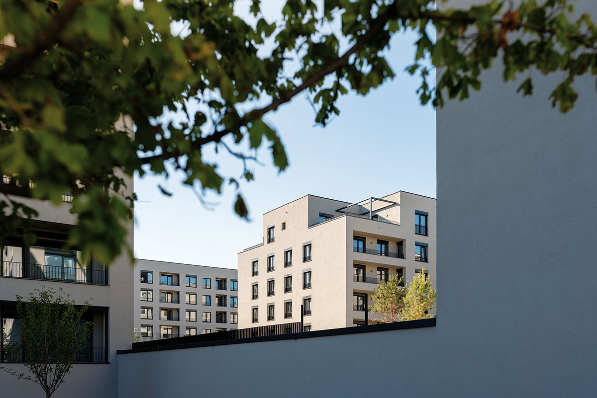 Bory Na Hrádzi Bory Na Hrádzi