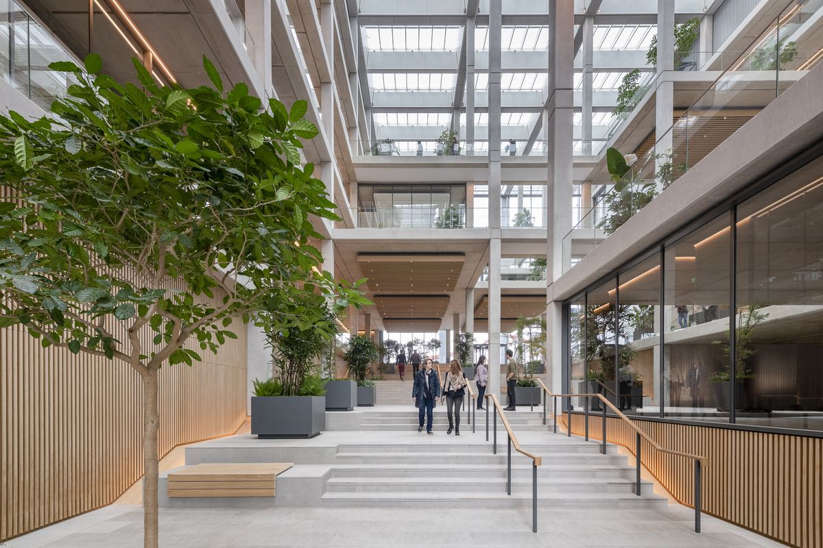 Pri návrhu interiéru sa rozhodne nešetrilo zeleňou. Rastliny pomohli vytvoriť kancelárske priestory stimulujúce interaktivitu, kreativitu i pracovný výkon.