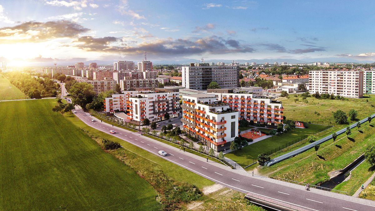 Trnava Miko 