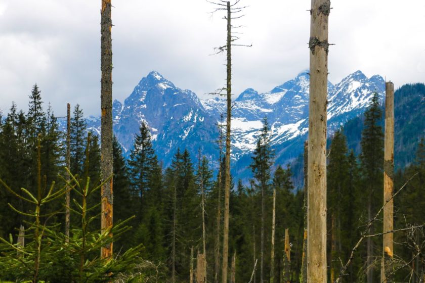 Vysoké Tatry