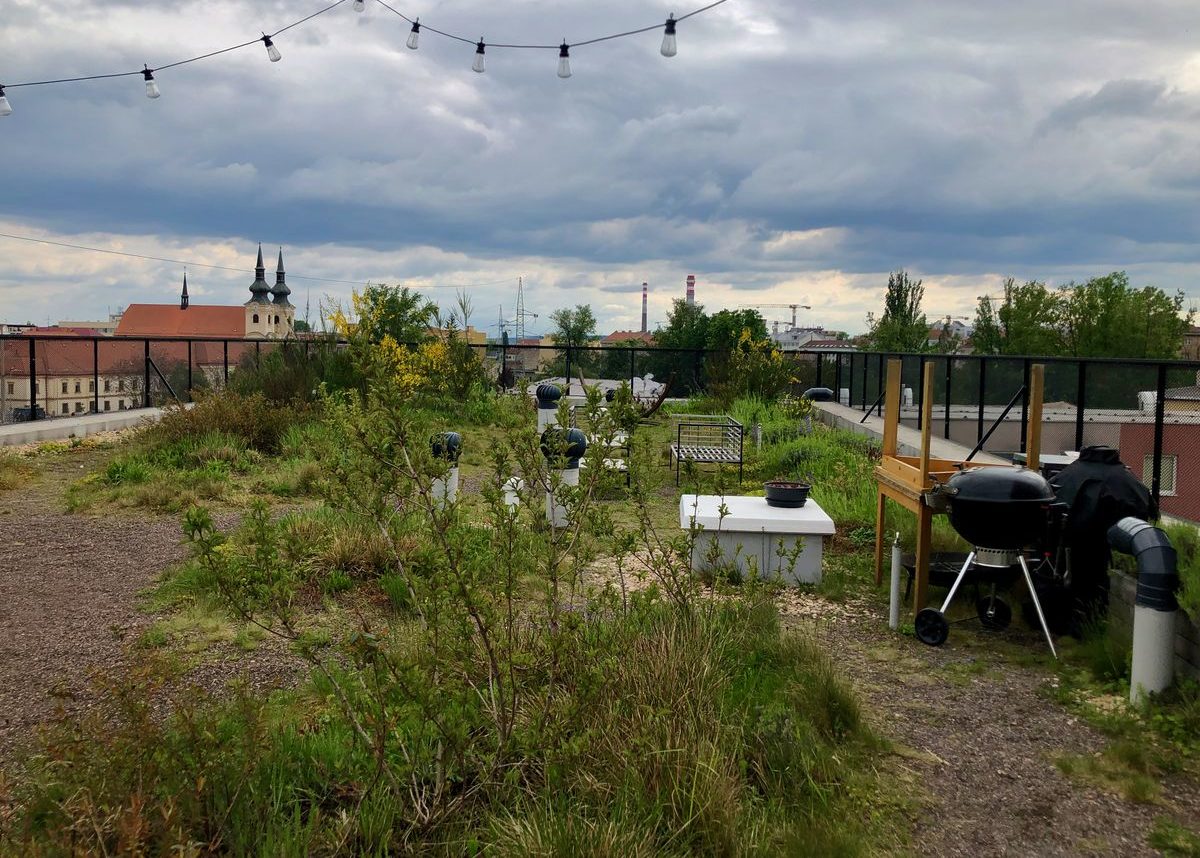 Strešná záhrada slúži ako miesto k stretnutiu komunity majiteľov bytov Adriána Henčeková