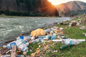 Huby a húsenice rozkladajúce plastový odpad? Štúdie vyzerajú sľubne