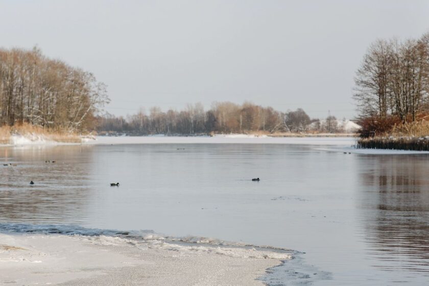 Sucho je problém tak intravilánu, ako extravilánu. Dosahy sú rôzne vypuklé. Vzhľadom na plošný pomer lesov, poľnohospodárskej pôdy a zastavaných území môžeme konštatovať, že zásadný je v extraviláne. 