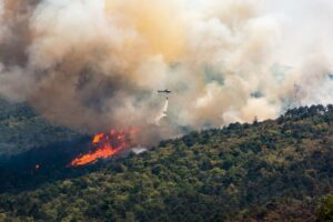 Čakajú nás horúce letá aj častejšie lesné požiare, do konca storočia stúpne ich počet o polovicu