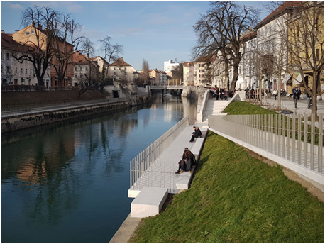 image (6)