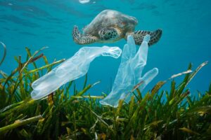 Tony plastového odpadu: V boji s ním nám pomáhajú baktérie, plávajúce bariéry v moriach aj recyklácia