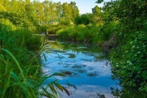 V Piešťanoch chcú postaviť envirocentrum. Vyhliadli si naň areál bývalého autokempingu pri vodnej nádrži Sĺňava