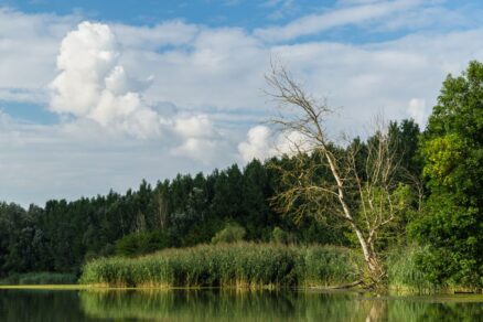 Bodíky, okres Dunajská Streda