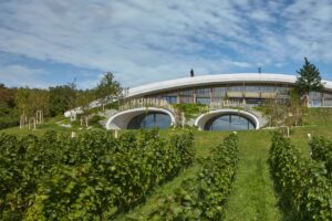 Skrytá medzi juhomoravskými vinicami: Vďaka zelenej streche táto stavba pôsobí ako pahorok v teréne