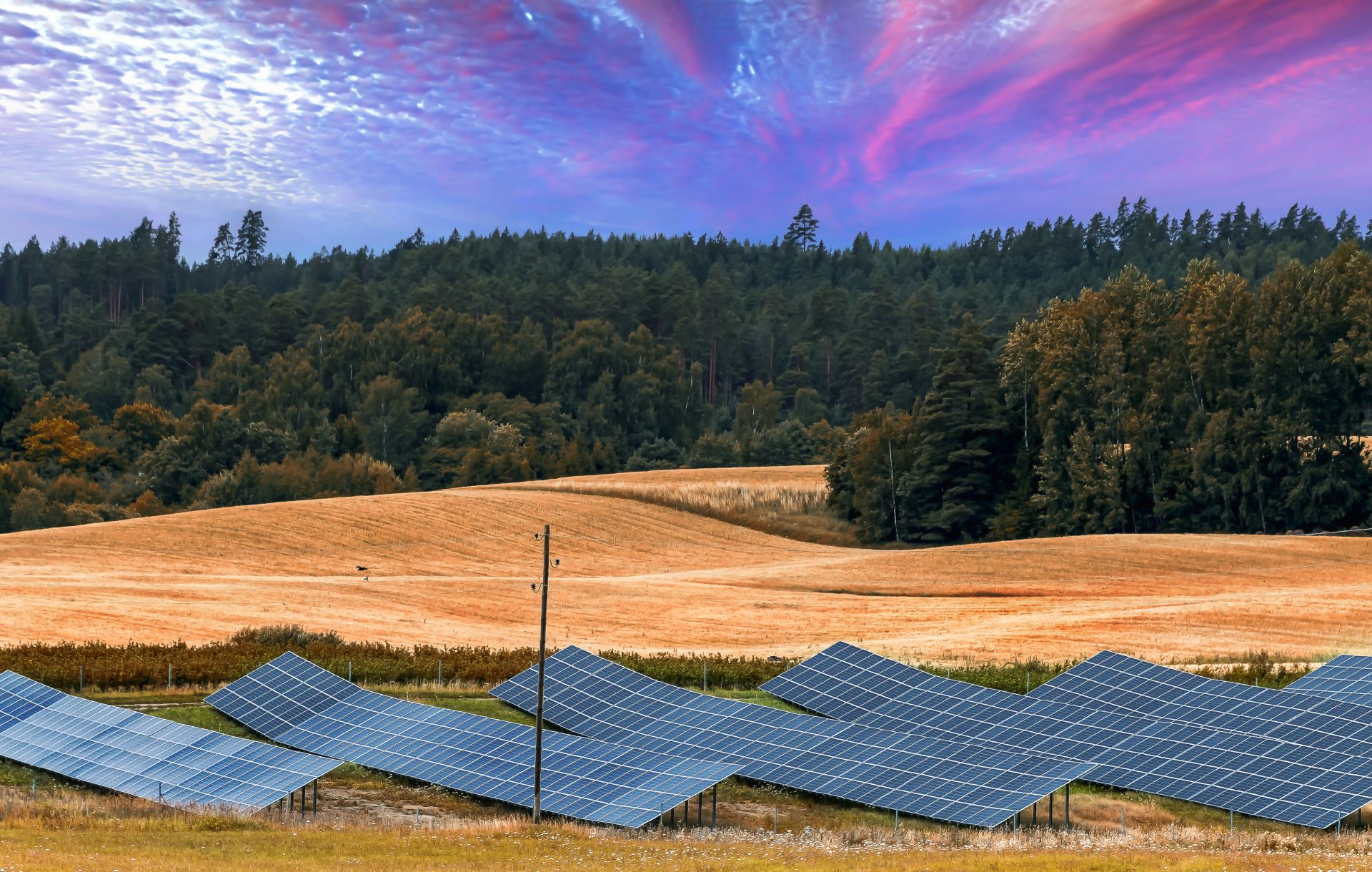 Podľa štúdie solárne elektrárne podporujú rozvoj biodiverzity v inak monokultúrnej poľnohospodárskej krajine.