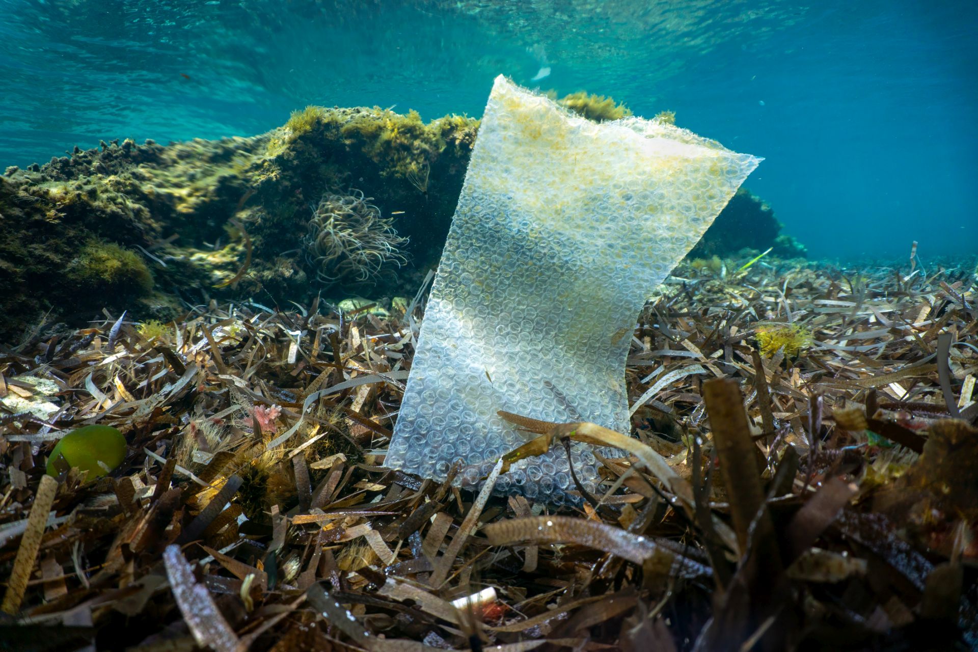 Znečisťovanie plastmi na morskom dne môže byť až 100-krát väčšie ako množstvo plastov plávajúcich na hladine. 