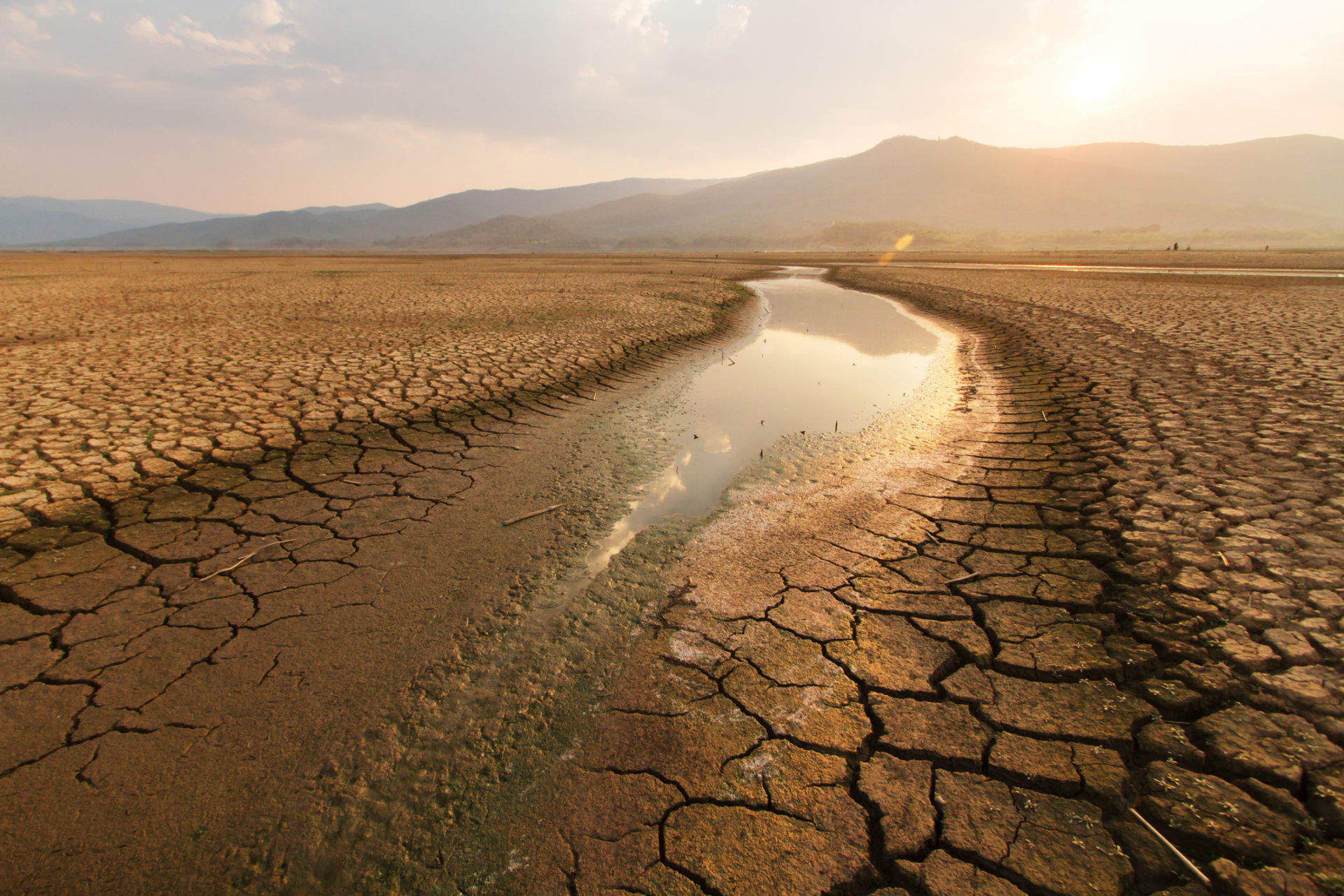 Najlepší svetoví klimatológovia očakávajú, že teplota na planéte sa zvýši o minimálne 2,5 stupňa Celzia.