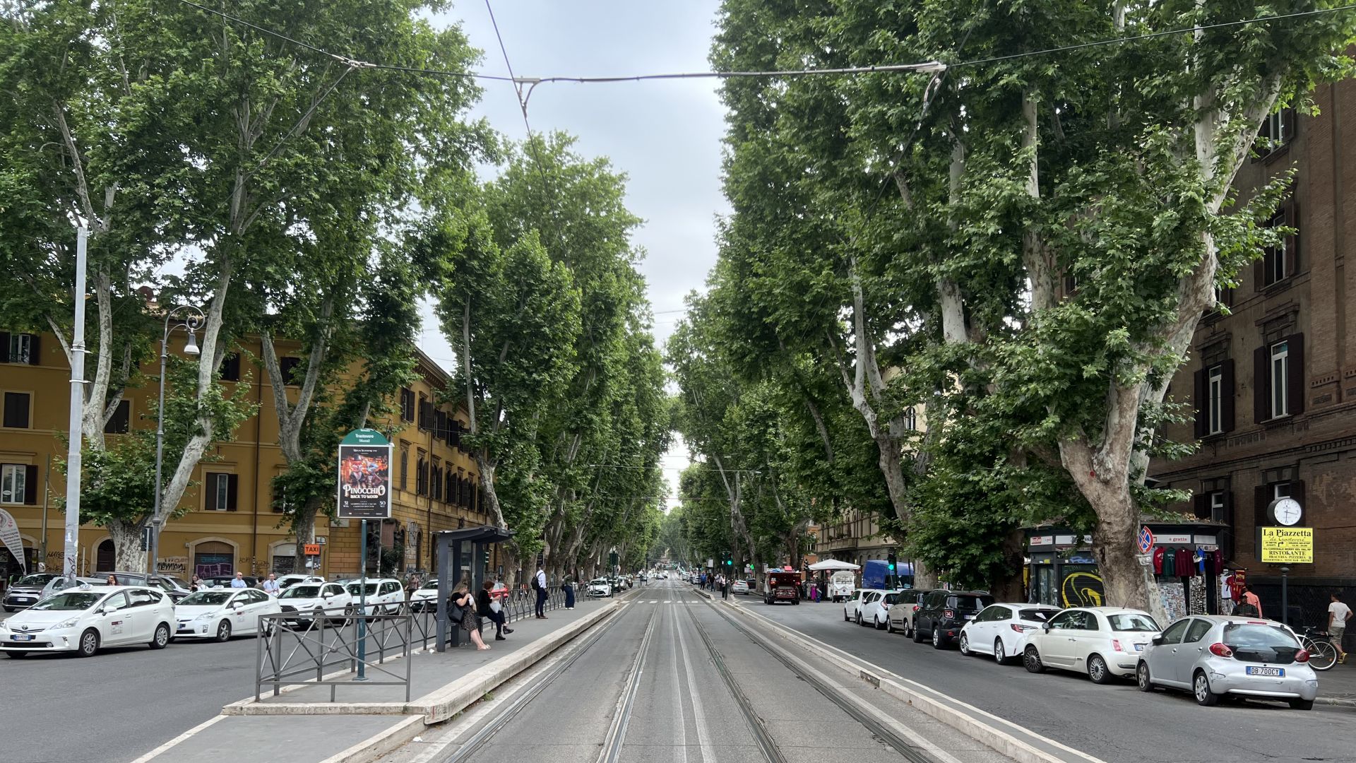 Vysoké platany v mestskej štvrti Trastevere